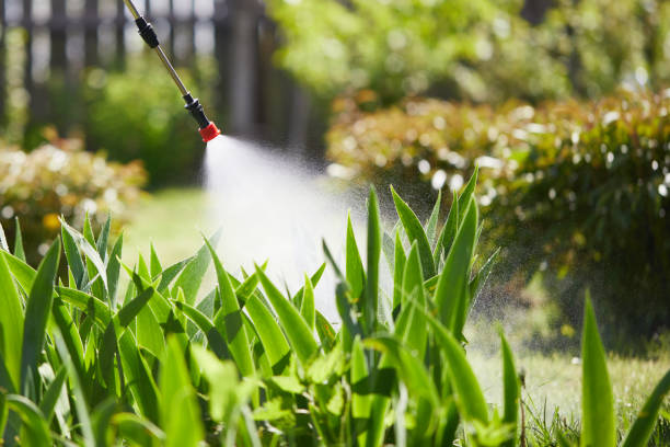 Tamper-Resistant Bait Stations for Rodents in Avenel