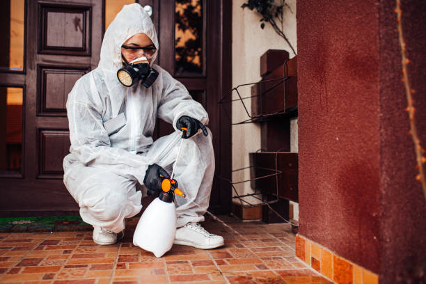 Attic and Crawl Space Rodent Treatment in Avenel